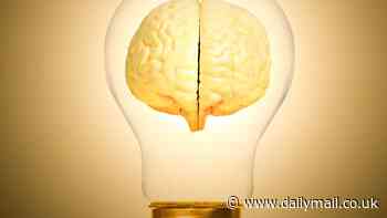 Only 20% of Harvard students aced this three-question IQ test...  how will YOU get on?