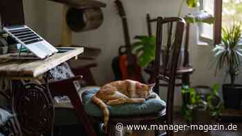 Homeoffice vs. Präsenzpflicht: Wie aus der Zeit im Büro »heilige Tage« werden können