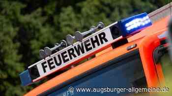 Gartenhaus in Pfuhler Kleingartenanlage geht in Flammen auf