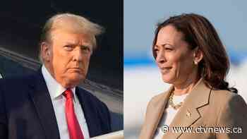 We're 100 days away from the U.S. presidential election. An expert predicts what will happen next