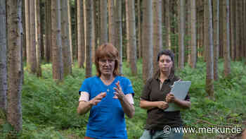 Dieser Zornedinger Wald ist der „Horror“