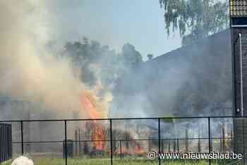 Haag vat vuur in Puurs: brand gaat met hevige rookontwikkeling gepaard