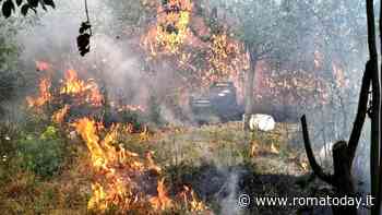 Incendi a raffica nel IV municipio, l'allarme di Umberti: "Da soli non ce la facciamo"