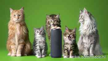 Gezinsuitbreiding voor KPN-kat Louis