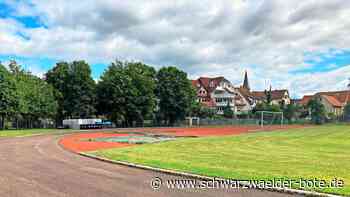 Für Olympioniken von morgen: Das Calwer Stadion bekommt eine neue Tartanbahn
