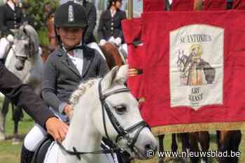 Meer dan duizend paarden en pony’s draven op tijdens tornooien van LRV Ranst en LRV Oelegem: “Als twee kleine clubs bundelen we onze krachten”