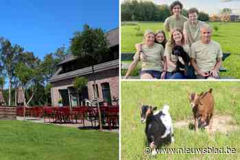 Voormalige Hoeve Liekens is nu ‘De Zoerderij’ met microvarkens en een zeboe: “Onze belevingsboerderij is er voor iedere leeftijd”