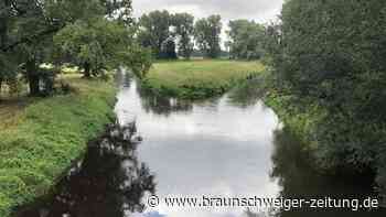 Gifhorns Naturschätze liegen zum Einsammeln am Wegesrand