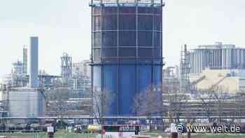 14 Menschen bei Explosion auf BASF-Gelände leicht verletzt