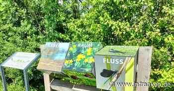 Landkreis Lichtenfels: Diese drei Badeseen sind mit der "Blauen Flagge" ausgezeichnet