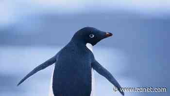 How to use the Linux history command - and what it can do for you