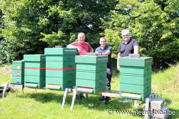 Imkers plaatsen bijenkasten bij AED Studios: “Meerdere kasten bij elkaar wapent bijen tegen Aziatische hoornaar”
