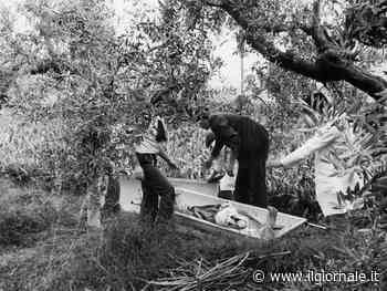 Mostro di Firenze, il Dna sconosciuto sul proiettile riapre il caso. "Forse è la firma del killer"