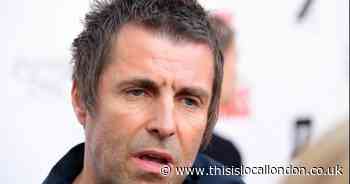 Liam Gallagher Highgate house pool and wall plans criticised