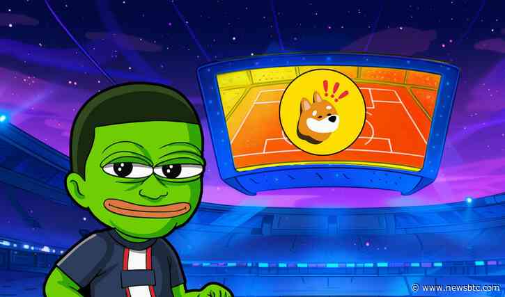 Deep Dive Into The Profitability Of Bonk (BONK) and Mpeppe (MPEPE)