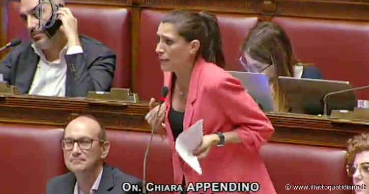 Appendino alla maggioranza: “Potevate intitolare Malpensa a una donna, e invece avete preferito un evasore fiscale noto per il bunga-bunga”