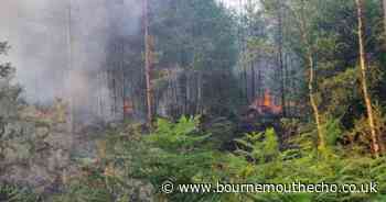 Heath fire breaks out at Winfrith Newburgh near Wool