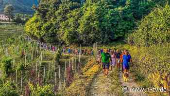 Spaziergänge mit 200 Bürgern: Italienisches Dorf hilft Bürgermeister beim Abnehmen