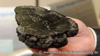 Meeresbodenbehörde tagt in kritischem Moment