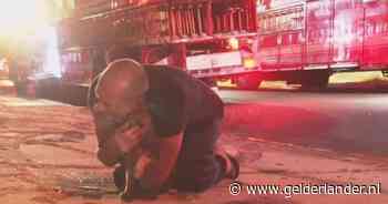 Vader ziet huis afbranden en kan alleen maar schreeuwen om zijn kat, ontroerende hereniging gaat viral