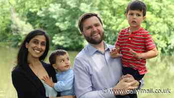 JD Vance's divisive 'childless cat lady' comments highlight very real concerns about America's future that could cost YOU thousands