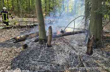 FW-AR: Feuerwehr Ense und Arnsberg bekämpfen Waldbrand