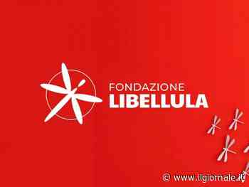 Stop violenza di genere, Sisal aderisce al network di Fondazione Libellula