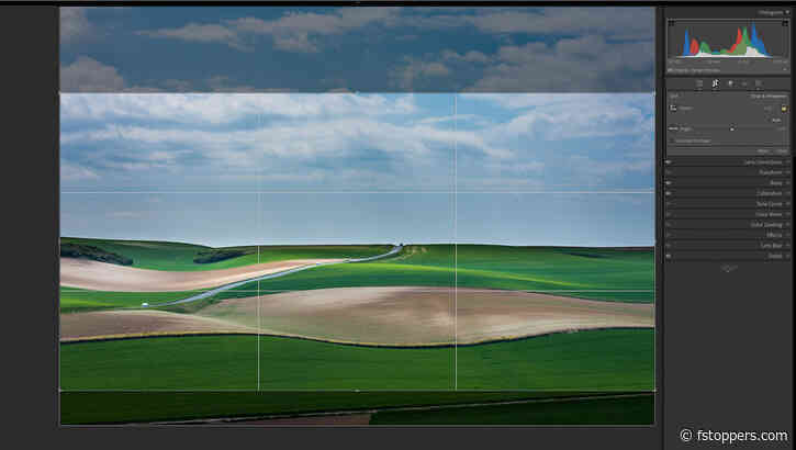 The Importance of Cropping. 7 Reasons Why You Should Use a Crop