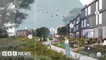 Green belt village plan gets £225k boost