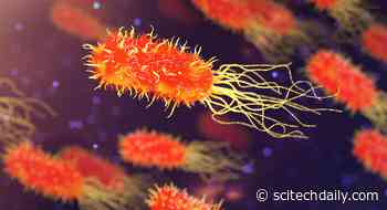 100 Million Times More Difficult: Revolutionary Dual Action Antibiotic Makes Bacterial Resistance Nearly Impossible