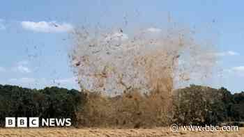 Dust devil seen picking up hay and debris in field