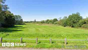 Wetland plan put forward for green space