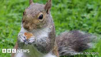 Your photos: Flowers, sunset and cricket