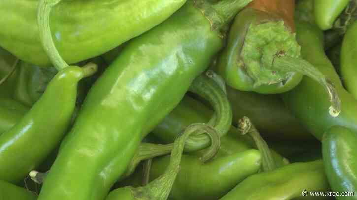 New Mexico chile farmers expect big harvest season, 'best' in years