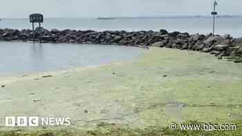 Seafront lagoon branded a 'stinking pool'