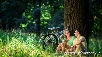 Vacanze sostenibili: come divertirsi nel rispetto dell’ambiente