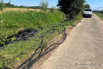 Twee koperdieven op heterdaad betrapt en gearresteerd in Tongeren