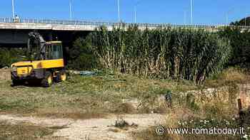 Ponte Marconi, partiti i lavori di riqualificazione: dureranno fino a dicembre