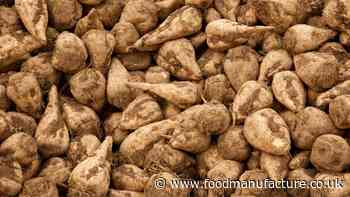 NFU Sugar and British Sugar agree sugar beet crop contract