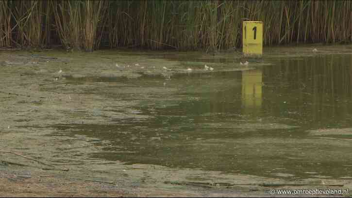 Lelystad - 	Door blauwalg is het Bovenwater geen zwemlocatie meer: 'Er moet anders gemeten worden'
