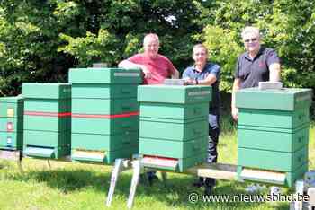 Imkers plaatsen bijenkasten bij AED Studios: “Samen een vuist maken tegen Aziatische hoornaar”