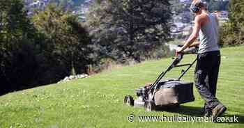 Gardeners warned not to cut grass this week due to heatwave