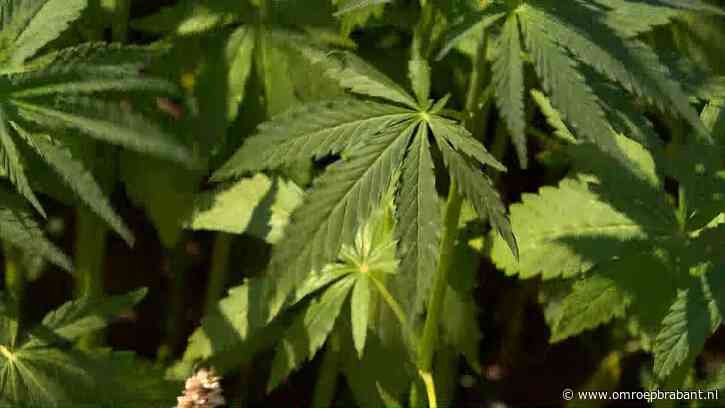 1340 kilo wiet gevonden in containers, zat verstopt in machines