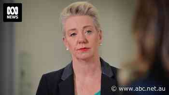 Politicians take aim at airline duopoly as Rex faces uncertain future