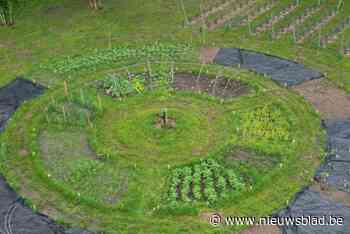 Zoersels voedselbos ’t Groeihof wint Europese prijs