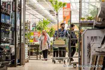 Floralux verstopt grote dinosaurussen in tuincentrum: “Kinderen onvergetelijke ervaring bezorgen”
