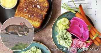 The Good Egg Camden had mouse droppings in food hygiene check