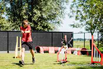 Jordi kroont zich als Junior Wereldkampioen Hondensport: “Mijn nieuwe droom is om mee te doen aan een volwassen EK of WK”