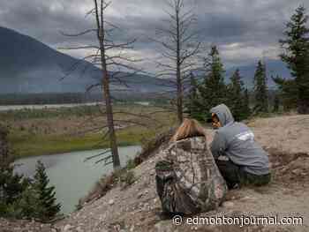 Animals, like those in Jasper, know how to dodge wildfires, say biologists