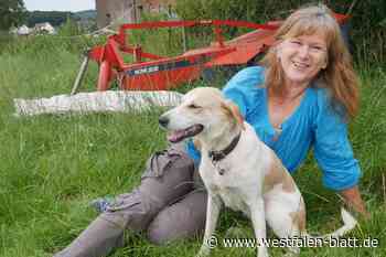 Hündin Malia findet ein liebevolles Zuhause in Hüllhorst